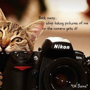 Meet your Posher, Iris